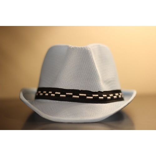 Hat, Cowboy Hat, Western Style Hat, Hats for Riding, Sun Hats, Unisex Hats