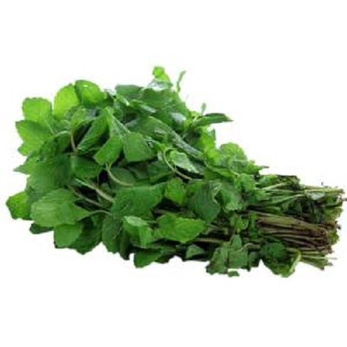 Mint leaves (Podina) 1 bundle